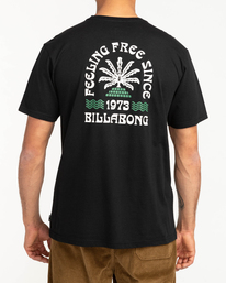 3 Feeling Free - T- Shirt für Männer  F1SS46BIF2 Billabong