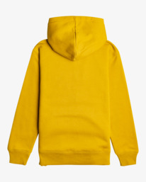 billabong, Arch 2022 - Zip Up Hoodie for Boys 8 2022 - 14, AMBER (0552) Arch 2022 - Zip Up Hoodie for Boys 8 2022 - 14 F2FL15BIF2