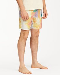 4 Sundays Lo Tides Boardshorts 19"  M1381BSL Billabong