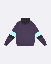 billabong, The Cove 2022 - Sweat à capuche pour Homme, PURP (1699) The Cove 2022 - Hoodie for Men S1FL14BIP0