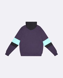 1 The Cove - Sweat à capuche pour Homme Violet S1FL14BIP0 Billabong