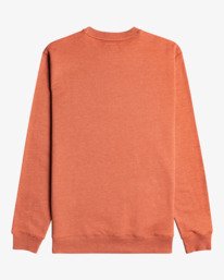 1 All Day - Sweatshirt für Männer Rot U1FL01BIF0 Billabong