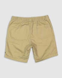 1 Beach Days Layback Twill Shorts  UBYWS00112 Billabong