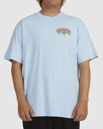 billabong mens t shirts