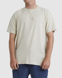 Billabong t shirt sale sale