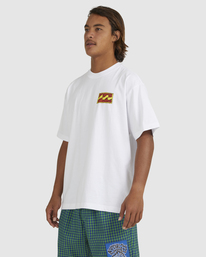 2 Skegss Box - T-Shirt for Men White UBYZT00360 Billabong