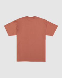5 Otis Goanna Dreaming T-Shirt Red UBYZT00418 Billabong