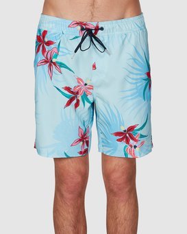 SUNDAYS LAYBACK  9591435X