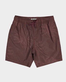 LARRY LAYBACK SUN  9591715