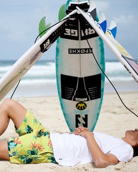 SUNDAYS LAYBACK  9592419