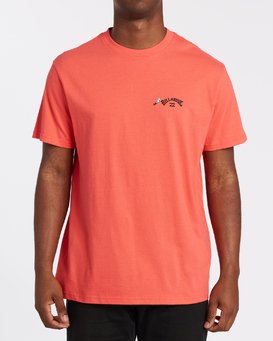 Truffula Fade - T-Shirt for Men  T1SS33BIS0