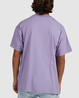 2 For $50 Men's Tees - Buy from our Promotional Selection | Billabong