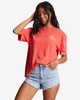 BRIGHT POPPY (rne0)