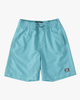 All Day Layback - Swim Shorts for Toddlers  ABTJV00102