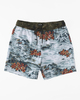 Sundays Layback 17" - Board Shorts for Men  ABYBS00253