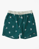 Sundays Layback - Board Shorts for Men  ABYJV00103