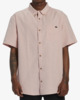 ALL DAY SS  ABYWT00223