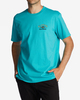 DARK MINT (dmi)