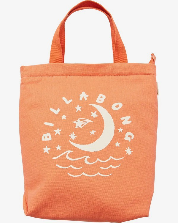 beach picnic bag