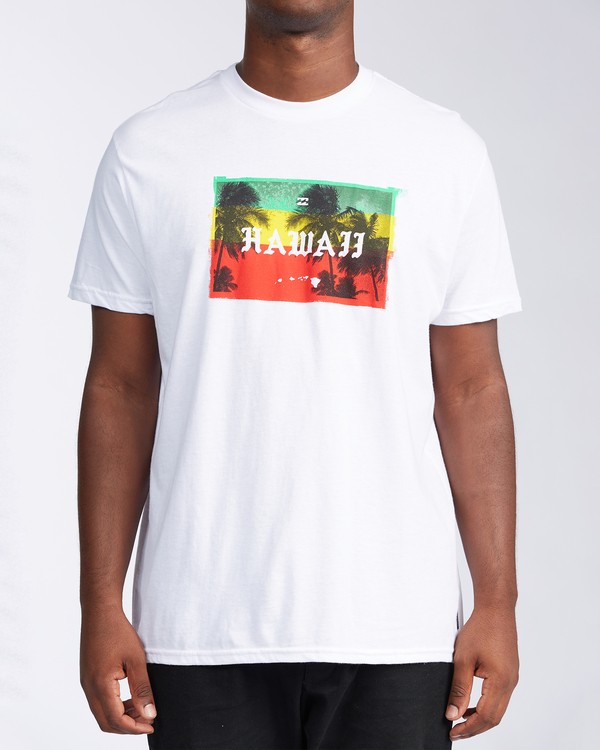 hawaii t shirt shop