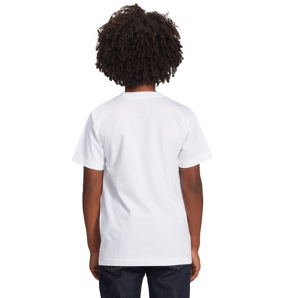 DC Star - Short Sleeve T-Shirt for Boys 8-16  ADBZT03175