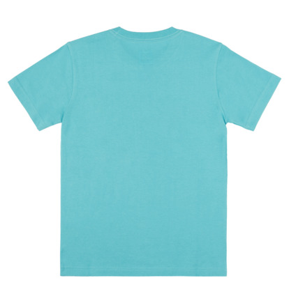DC Star Pilot - Short Sleeve T-Shirt for Boys 8-16  ADBZT03178