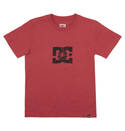 Shatter - T-Shirt for Boys 8-16  ADBZT03222