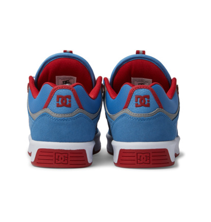 Colorful hot sale dc shoes