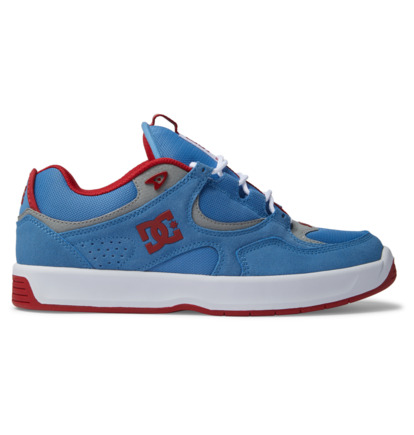 Dc best sale blue shoes