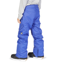 dcshoes, Boys' Banshee 10K Insulated Snowboard Pants, ROYAL BLUE (pqf0) Banshee 2022 - Technical Snow Pants for Boys ADBTP03008