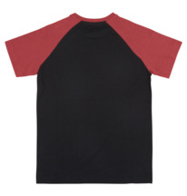 DC Star - T-Shirt for Boys  ADBZT03167