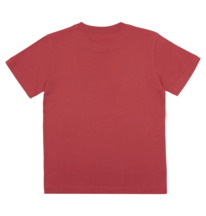 dcshoes, Shatter - T-Shirt für Jungen 8-16, RED EARTH (npq0) Shatter - T-Shirt for Boys 8-16 ADBZT03222