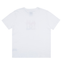 dcshoes, Star Flamefriend - Boyfriend T-shirt voor Dames, WHITE (wbb0) Star Flamefriend - Boyfriend T-Shirt for Women ADJZT03053