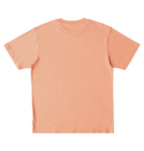 dcshoes, DC Star - T-Shirt für Männer, PAPAYA PUNCH (mfq0) DC Star - T-Shirt for Men ADYZT05043