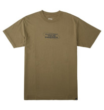 dcshoes, Friends 2022 - T-Shirt für Männer, IVY GREEN ENZYME WASH (crbw) Friends 2022 - T-Shirt for Men ADYZT05195