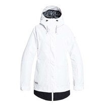 Dc riji se snowboard jacket sale