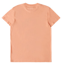 Chain Link - T-Shirt for Men  EDYZT04279