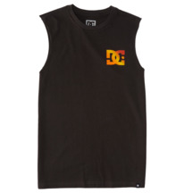 Boys T-Shirts - Shop the Kids Collection Online | DC Shoes