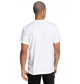 PACTING SS  ADYZT04586