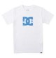 DC Star Fill - Short Sleeve T-Shirt for Boys 8-16  ADBZT03177