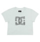 ICED AQUA ACID WASH (gczw)