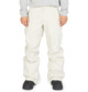 DC Snow - Technical Snow Pants for Men  ADYTP03031