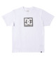 DC Square Star Fill - T-Shirt for Men  ADYZT04987