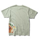 SILT GREEN ENZYME WASH (gehw)