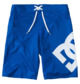 Lanai 22" - Board Shorts for Men  EDYBS03090