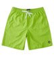 Late Daze 18" - Elasticated Shorts for Men  EDYWS03153