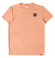 PAPAYA PUNCH (mfq0)