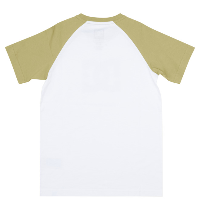 DC Star - T-Shirt for Boys  ADBZT03167
