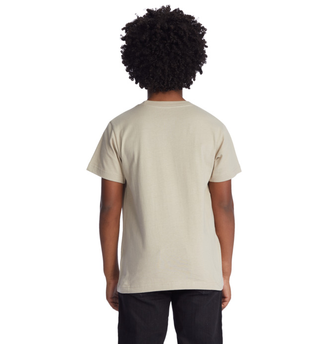 DC Square Star Fill - Short Sleeve T-Shirt for Boys 8-16  ADBZT03176