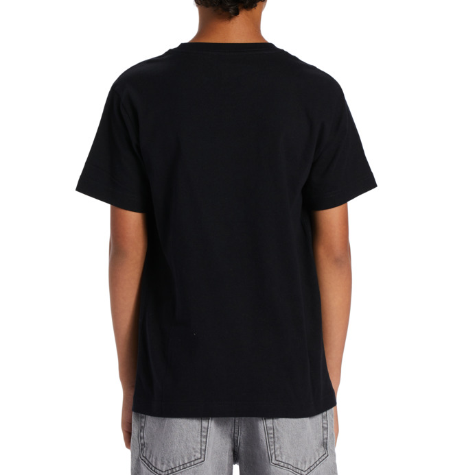 DC Star Fill - Short Sleeve T-Shirt for Boys 8-16  ADBZT03177